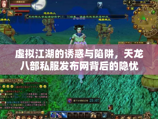 虚拟江湖的诱惑与陷阱，天龙八部私服发布网背后的隐忧