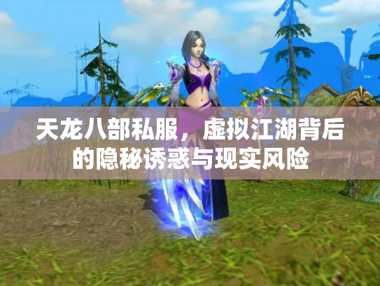 天龙八部私服，虚拟江湖背后的隐秘诱惑与现实风险