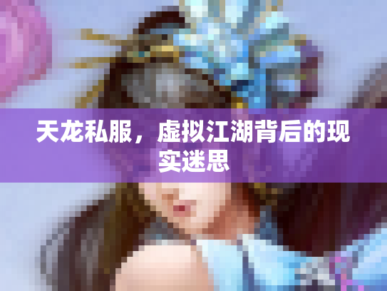 天龙私服，虚拟江湖背后的现实迷思