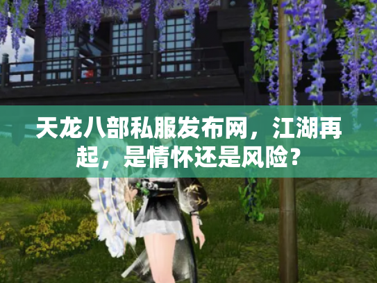 天龙八部私服发布网，江湖再起，是情怀还是风险？