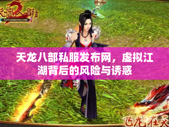天龙八部私服发布网，虚拟江湖背后的风险与诱惑