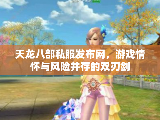 天龙八部私服发布网，游戏情怀与风险并存的双刃剑