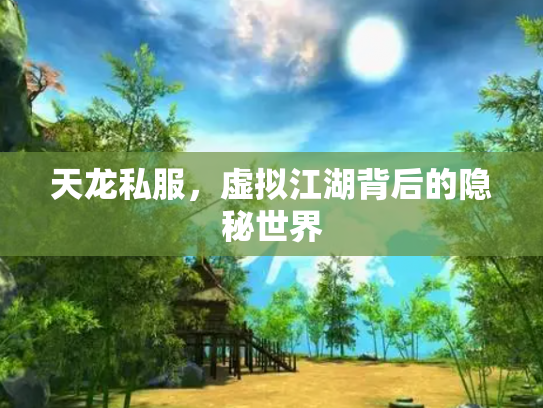 天龙私服，虚拟江湖背后的隐秘世界