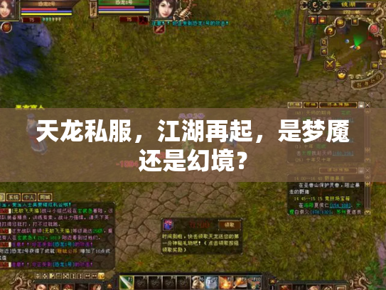 天龙私服，江湖再起，是梦魇还是幻境？