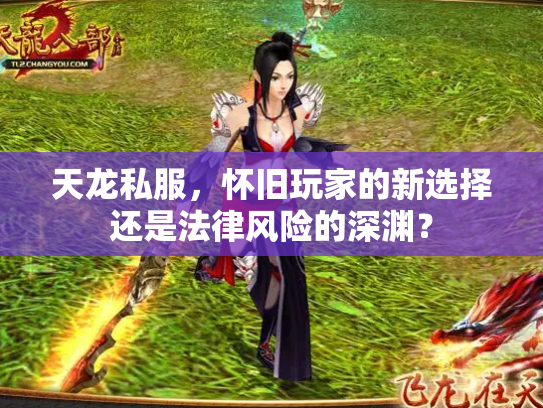 天龙私服，怀旧玩家的新选择还是法律风险的深渊？