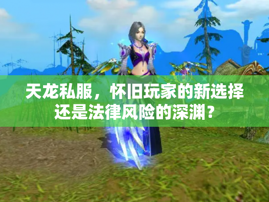天龙私服，怀旧玩家的新选择还是法律风险的深渊？