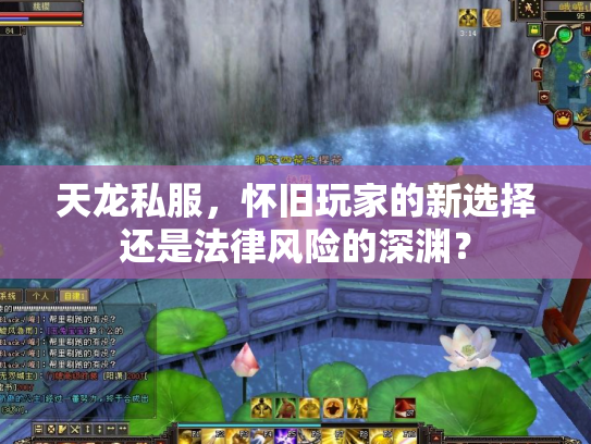 天龙私服，怀旧玩家的新选择还是法律风险的深渊？