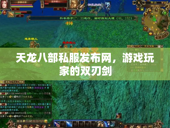 天龙八部私服发布网，游戏玩家的双刃剑