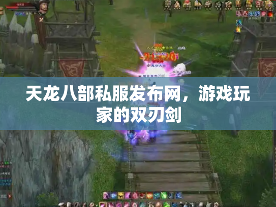 天龙八部私服发布网，游戏玩家的双刃剑