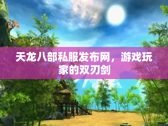 天龙八部私服发布网，游戏玩家的双刃剑