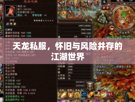天龙私服，怀旧与风险并存的江湖世界