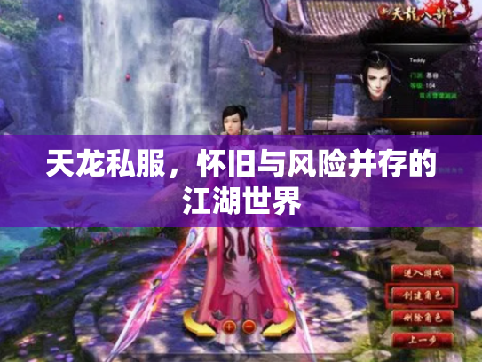 天龙私服，怀旧与风险并存的江湖世界