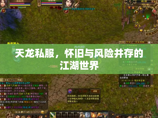 天龙私服，怀旧与风险并存的江湖世界