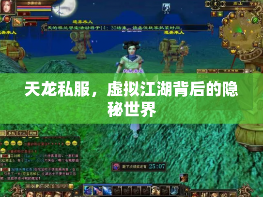 天龙私服，虚拟江湖背后的隐秘世界