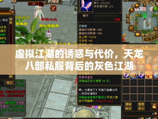 虚拟江湖的诱惑与代价，天龙八部私服背后的灰色江湖