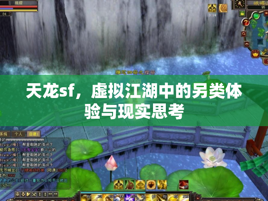 天龙sf，虚拟江湖中的另类体验与现实思考