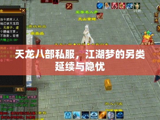 天龙八部私服，江湖梦的另类延续与隐忧