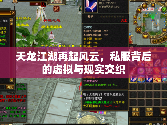 天龙江湖再起风云，私服背后的虚拟与现实交织
