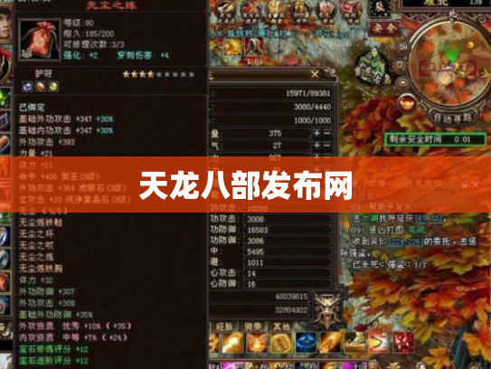 天龙八部发布网