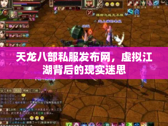 天龙八部私服发布网，虚拟江湖背后的现实迷思