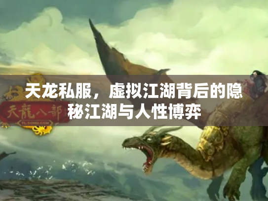 天龙私服，虚拟江湖背后的隐秘江湖与人性博弈