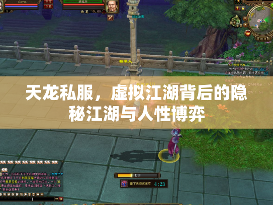 天龙私服，虚拟江湖背后的隐秘江湖与人性博弈