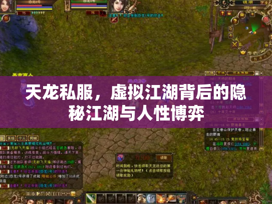 天龙私服，虚拟江湖背后的隐秘江湖与人性博弈