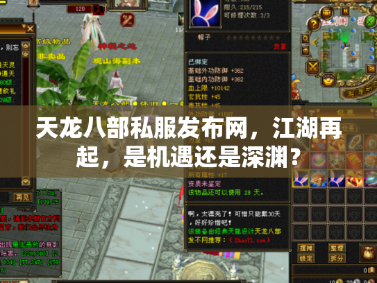 天龙八部私服发布网，江湖再起，是机遇还是深渊？