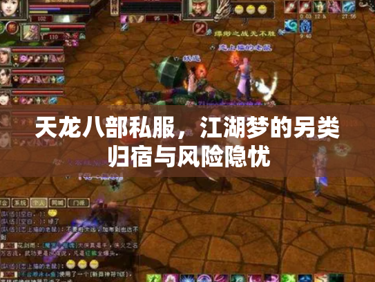 天龙八部私服，江湖梦的另类归宿与风险隐忧