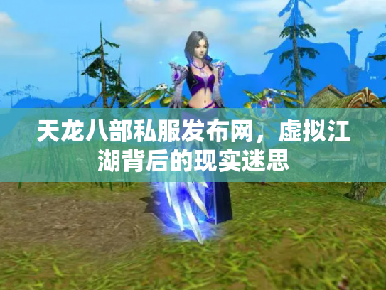 天龙八部私服发布网，虚拟江湖背后的现实迷思