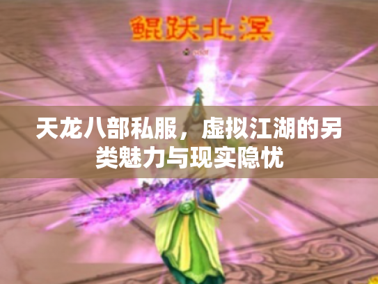 天龙八部私服，虚拟江湖的另类魅力与现实隐忧
