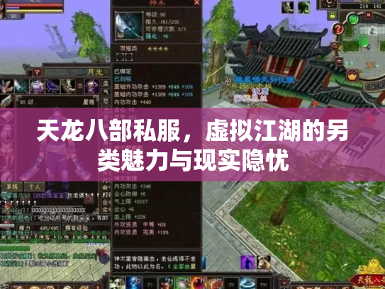 天龙八部私服，虚拟江湖的另类魅力与现实隐忧
