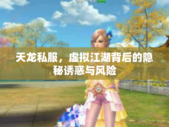 天龙私服，虚拟江湖背后的隐秘诱惑与风险