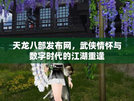 天龙八部发布网，武侠情怀与数字时代的江湖重逢