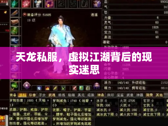 天龙私服，虚拟江湖背后的现实迷思