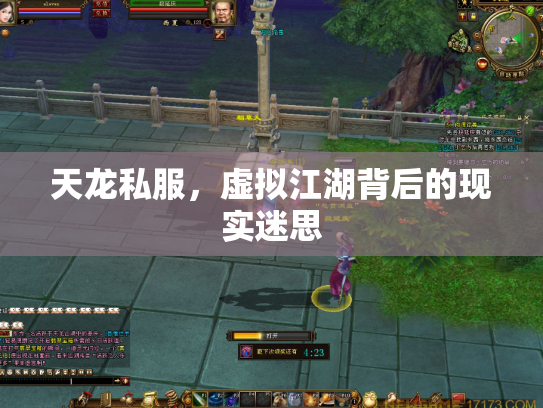 天龙私服，虚拟江湖背后的现实迷思