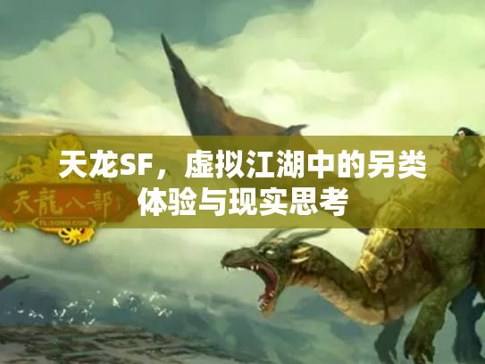 天龙SF，虚拟江湖中的另类体验与现实思考