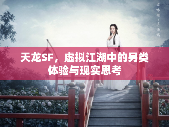 天龙SF，虚拟江湖中的另类体验与现实思考