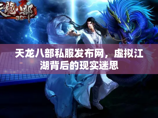 天龙八部私服发布网，虚拟江湖背后的现实迷思