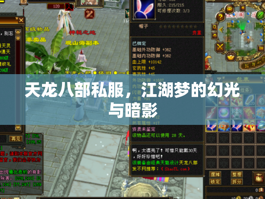 天龙八部私服，江湖梦的幻光与暗影