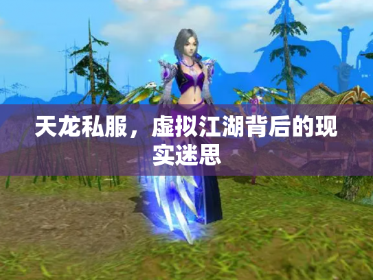 天龙私服，虚拟江湖背后的现实迷思