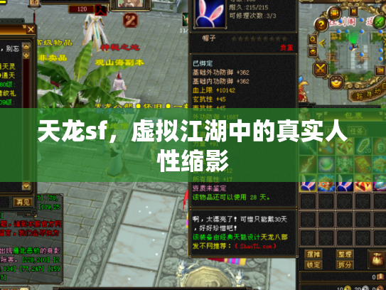 天龙sf，虚拟江湖中的真实人性缩影