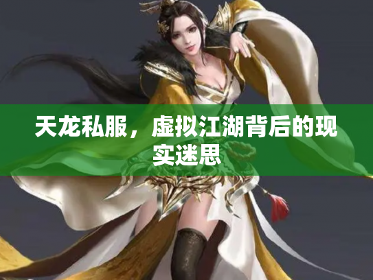 天龙私服，虚拟江湖背后的现实迷思