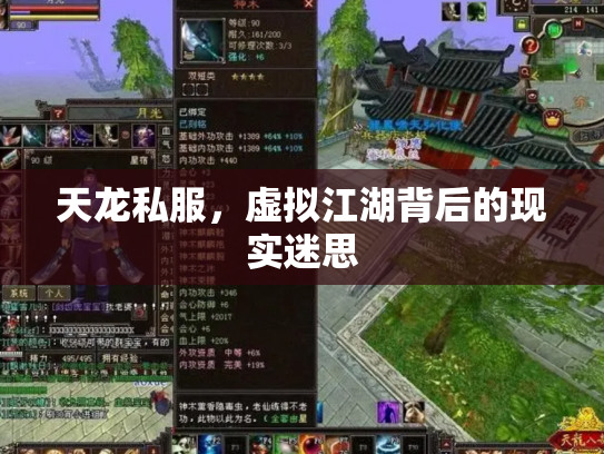 天龙私服，虚拟江湖背后的现实迷思