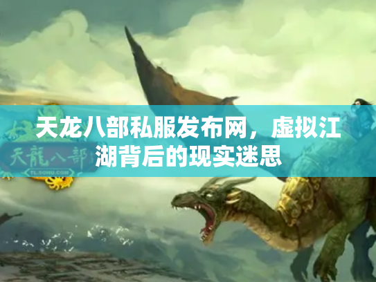 天龙八部私服发布网，虚拟江湖背后的现实迷思
