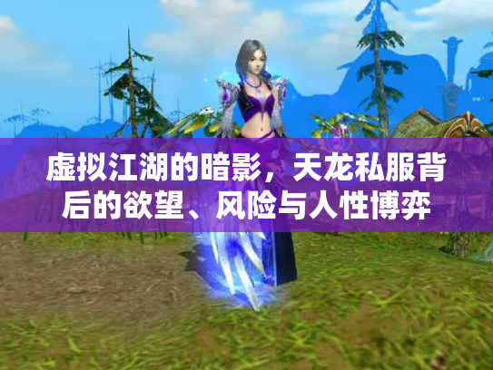虚拟江湖的暗影，天龙私服背后的欲望、风险与人性博弈
