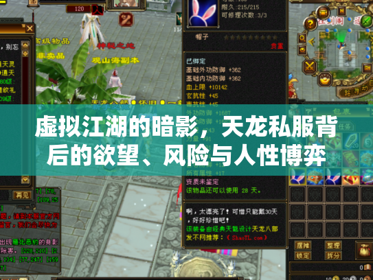 虚拟江湖的暗影，天龙私服背后的欲望、风险与人性博弈
