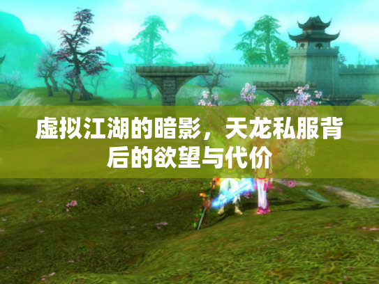 虚拟江湖的暗影，天龙私服背后的欲望与代价