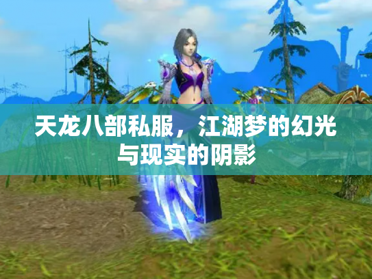 天龙八部私服，江湖梦的幻光与现实的阴影