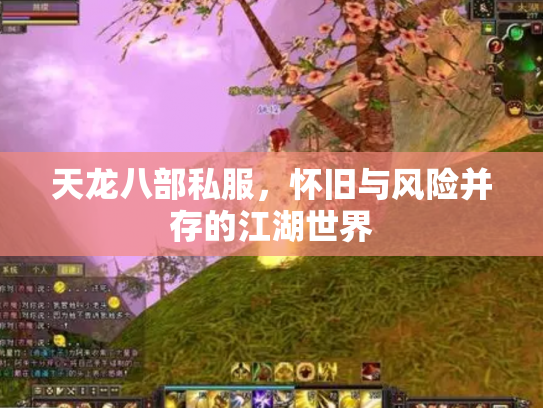 天龙八部私服，怀旧与风险并存的江湖世界